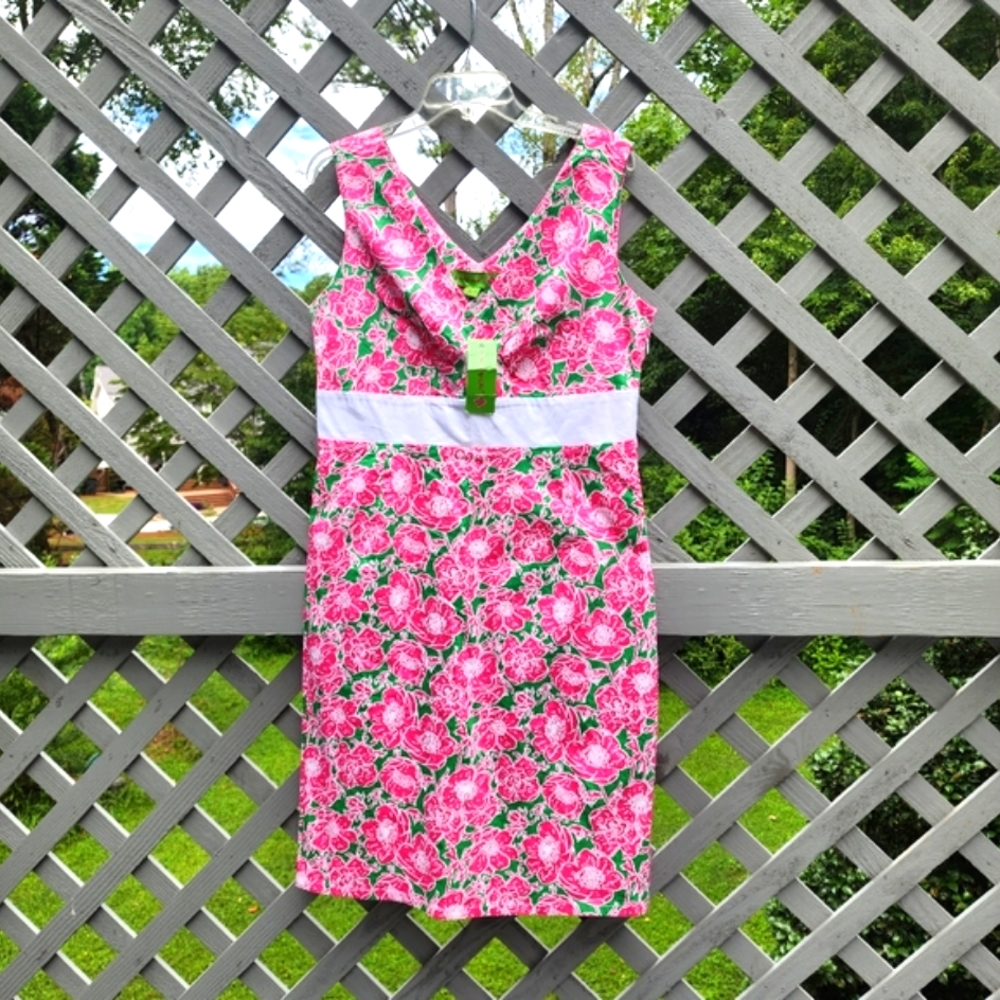 NWT Sz 12 Floral dress